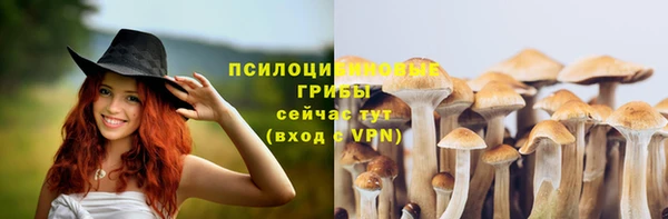 метадон Вяземский