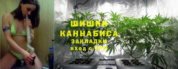 амф Горнозаводск