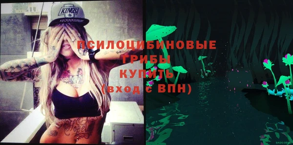 амф Горнозаводск